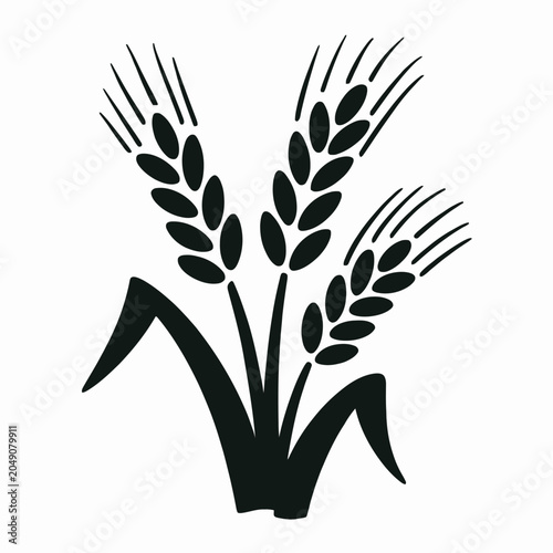 Minimalist black wheat stalks illustration on white background vector art