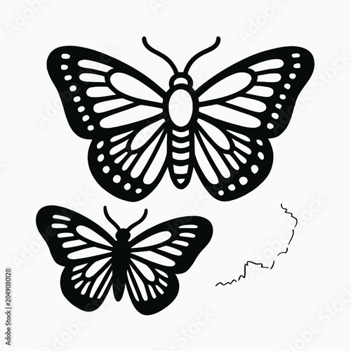 butterfly vector illustration