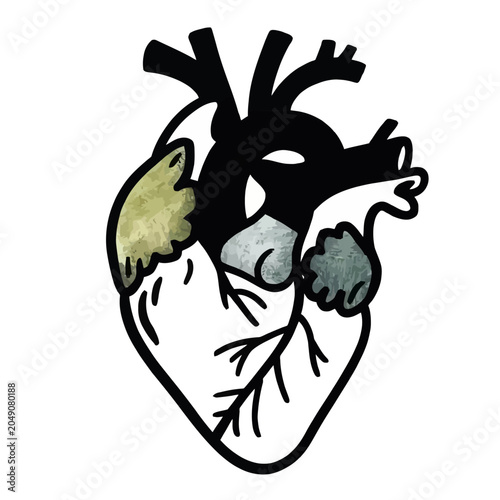Stylized Anatomical Heart Illustration with Black and White Outline and Watercolor Accents