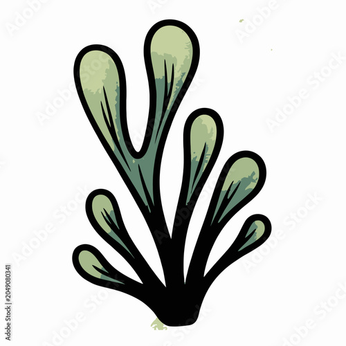 green plant isolated on white background