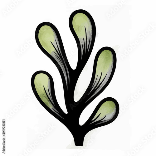 green plant isolated on white background