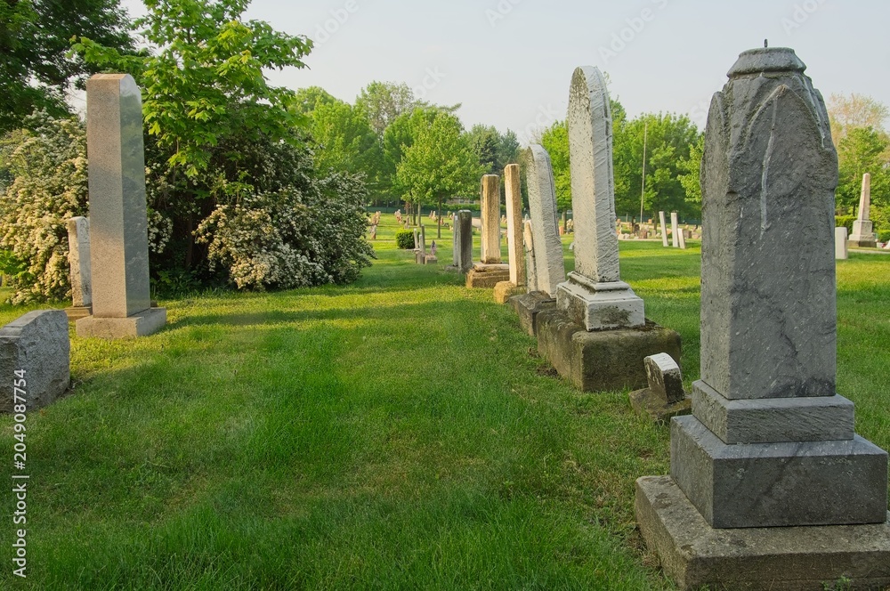 Fototapeta premium cedmetary with grave stones, monuments and grass, sunlight