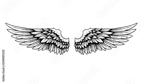 Foto Angel Wings Hand Drawn Black and White Illustration