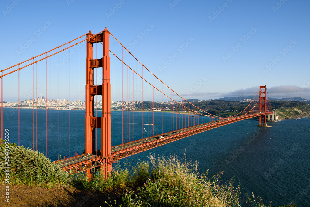 Fototapeta premium Golden Gate Bridge stretching across San Francisco Bay from a grassy Marin overlook