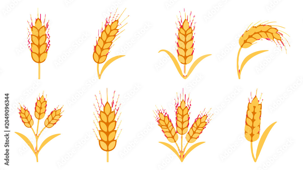 Obraz premium Set of stylized wheat ears isolated on white background