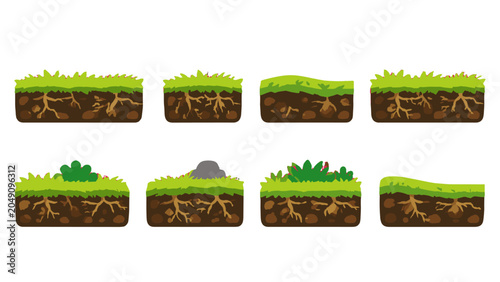 Obraz na płótnie Set of grassy ground cross sections with soil and roots
