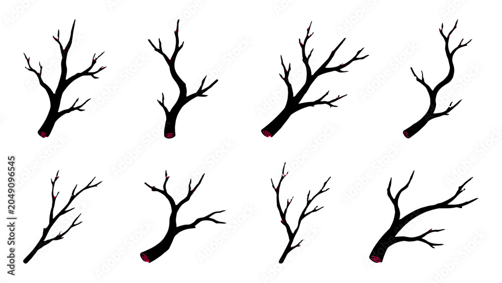 Fototapeta premium Set of bare tree branches isolated on white background