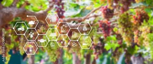 Smart agriculture and agritech concept. Hand using touching digital icons interface of modern farming technology, Agribusiness innovation and smart farming management. not ai