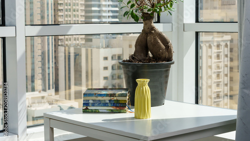 Quadro su tela Indoor scene featuring a potted plant with a unique trunk shape, yellow vase, an