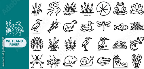 Cuadro en lienzo Riparian Ecosystem Swamp outline icon set