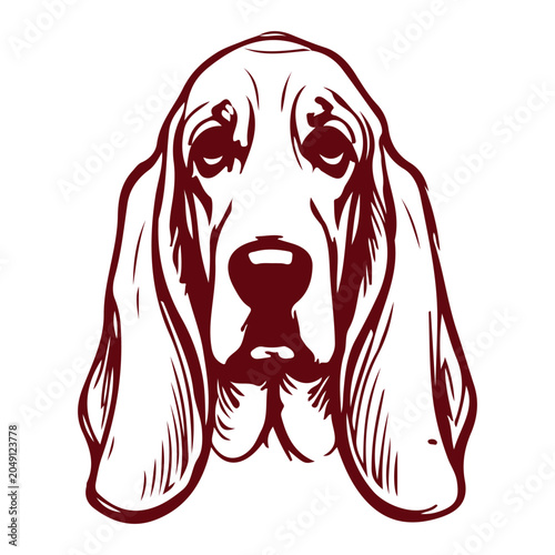 Basset Hound Dog Face Illustration Simple Line Art