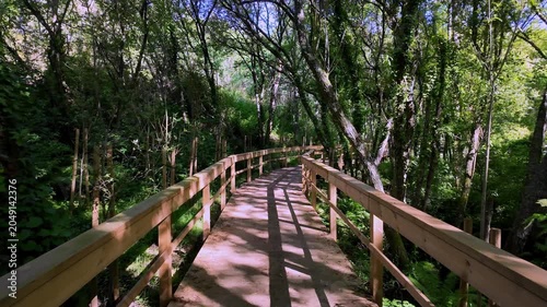 A scenic wooden boardwalk winds through a dense, sun-drenched forest with lush green foliage and long shadows cast across the path. The atmosphere is peaceful, natural, and bright.