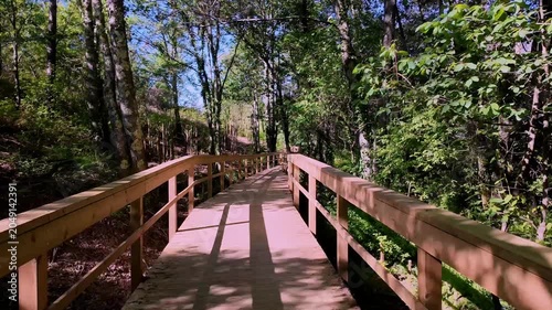 A smooth point of view shot glides along the Passadicos do Rio Uima. The wooden boardwalk is dappled with sharp shadows from dense surrounding foliage under bright sunlight.