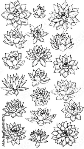 Elegant floral pattern design collection black and white.