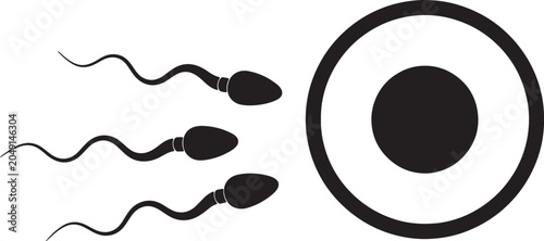 Photos Minimalist black and white of sperm cells swimming towards an egg, representing