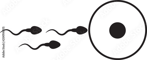 Fotografie Scientific showing multiple sperm cells swimming towards a single egg cell, repr