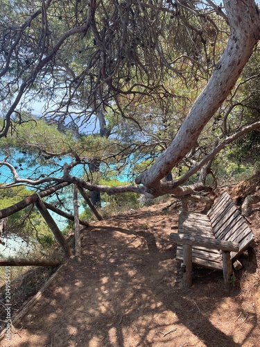 bench in the park