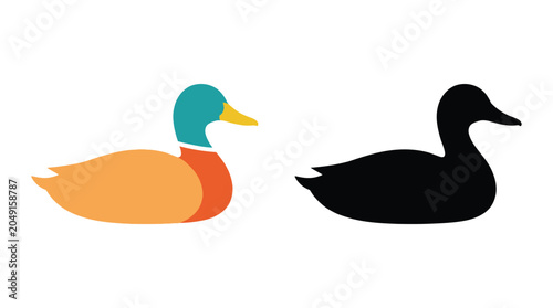 Photography Duck And Silhouette Of A Duck Vector Illustration On White Background