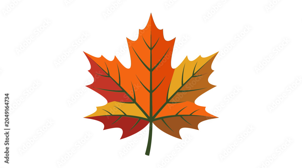 Obraz premium Vibrant Maple Leaf Fall Colors Isolated White Background