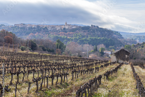 Foto Venasque hilltop village overseeing winter vineyard landscape