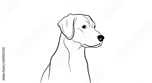 Dog Portrait Head Shot Closeup.