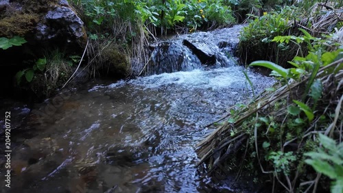 
Relaxing alpine stream cascading over mossy rocks through lush green forest, ASMR nature water sounds for sleep and meditation ambient video Davos Switzerland