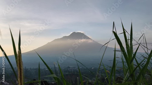 Majestic Mount Merapi volcano at sunrise, framed by green wild grass in the foreground with a soft cloudy sky. Beautiful Indonesian landscape.