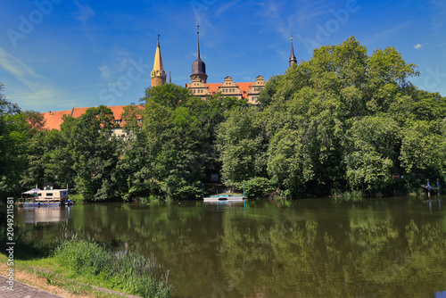 Blick über die Saale auf das Schloss Merseburg hinter dichten grünen Bäumen mit Spiegelung im Wasser, Merseburg, Saalekreis, Sachsen-Anhalt, Deutschland