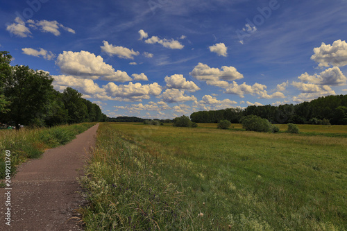 Radfahrer auf dem Elster-Radweg durch eine idyllische Wiesenlandschaft unter einem spektakulären Wolkenhimmel, Ermlitz, Schkopau, Saalekreis, Sachsen-Anhalt, Deutschland