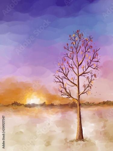 lonely tree in the sunset