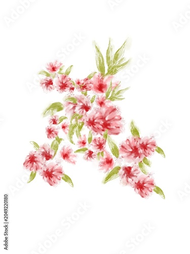 pink flowers on white background