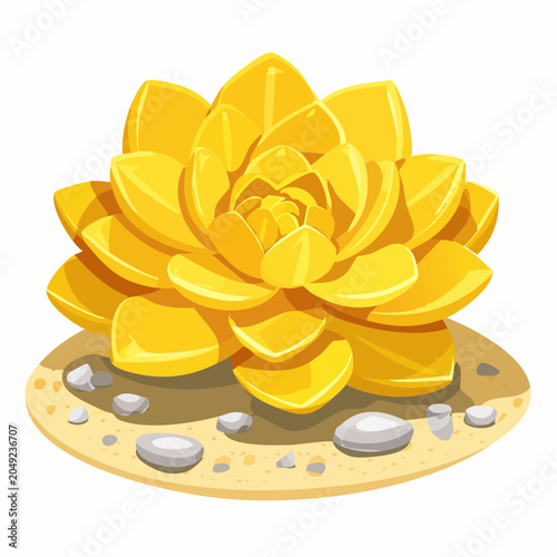 Yellow succulent plant with stones