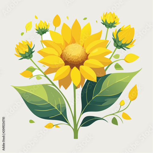 Yellow sunflower and buds with green leaves