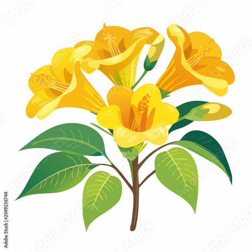 Yellow trumpet flowers with green leaves