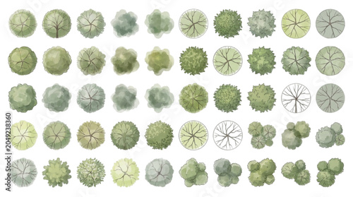 Obraz na plátně Diverse collection of top-down watercolor style tree and plant graphics for arch