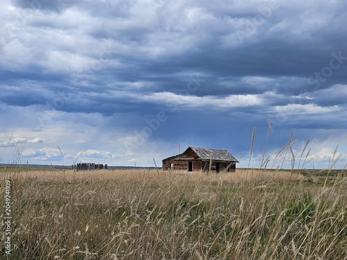 Alberta, Canada landscape of an abandoned farmhouse, tall brown grass, and a moody cloudscape overhead.