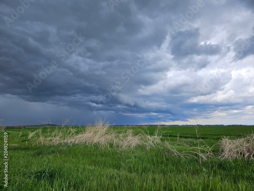 Stormy and moody sky over an empty pasture of green grass on the prairie of western Canada.