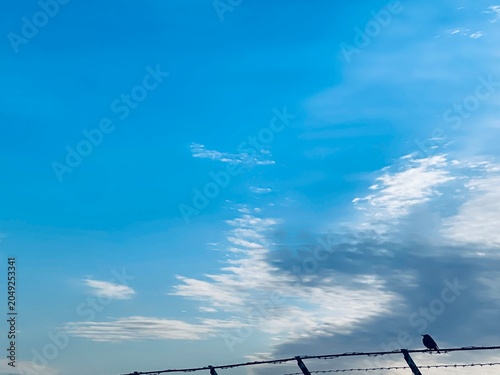 Silhouette of a bird on barbed wire fence under blue sky