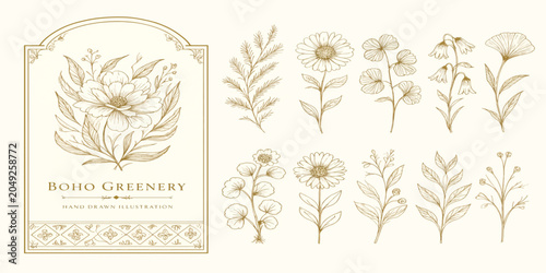 Vintage style hand drawn botanical elements and floral label. botanical illustration ornament monochrome composition template detailed wildflower decorative engraving herbarium.