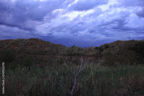 Road trip from Manitoba to Texas with storms, flowers, and abandoned places.
