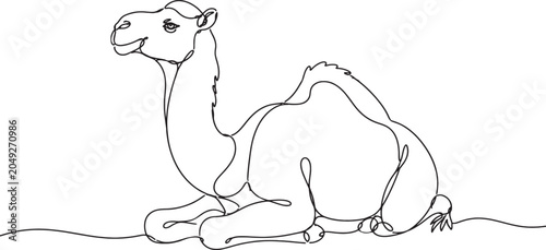 Schilderij op canvas Stylish Line Drawing of a Camel Sitting Restfully