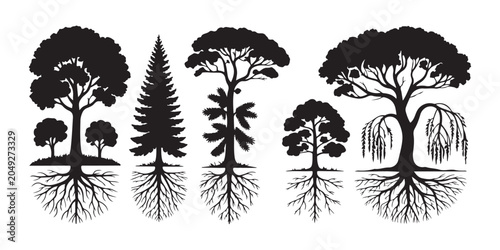 Variety of detailed black tree silhouettes with visible roots, representing different species.