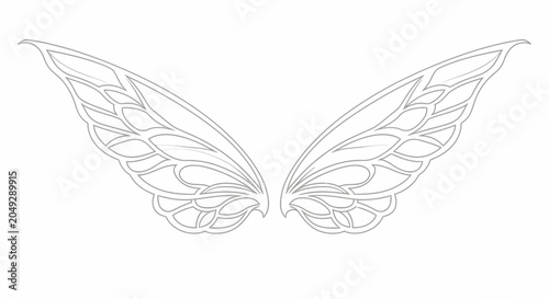 Foto Fairy Wings Outline Illustration - Delicate Butterfly or Angel Wings Vector Grap