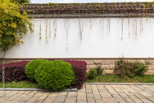 White walls and low shrubs