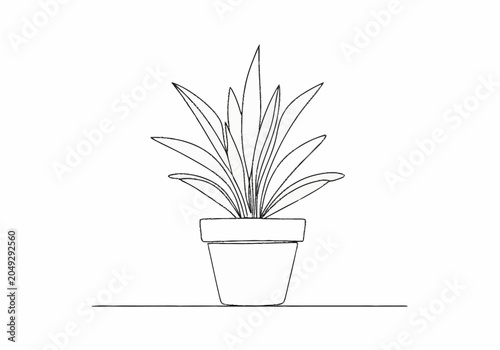 Continuous line drawing of a potted plant minimalist botanical art.