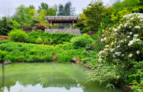 Lake in garden, Seattle, Washington, USA