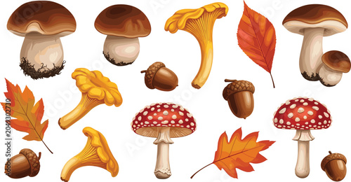 Obraz na płótnie Autumn forest mushroom and leaf vector illustration set featuring porcini chante
