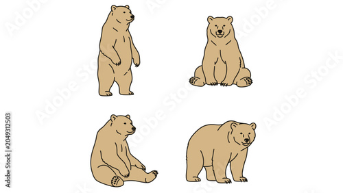 Four cartoon bears in different poses, standing, sitting, and walking, isolated on a white background.