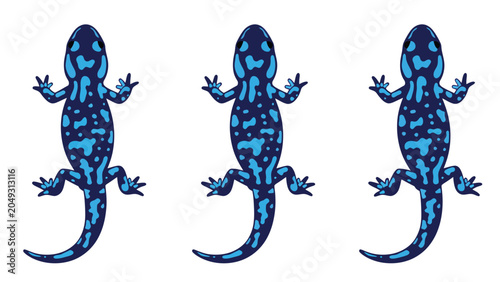 Three blue spotted salamanders arranged in a repeating pattern on a white background.