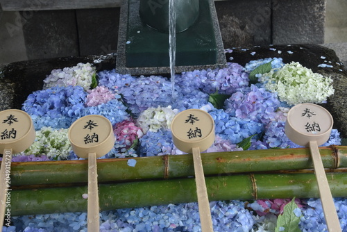 Fotografie 藤森神社 花手水